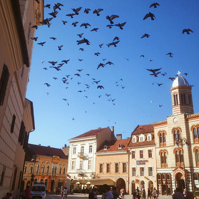 road trip romania