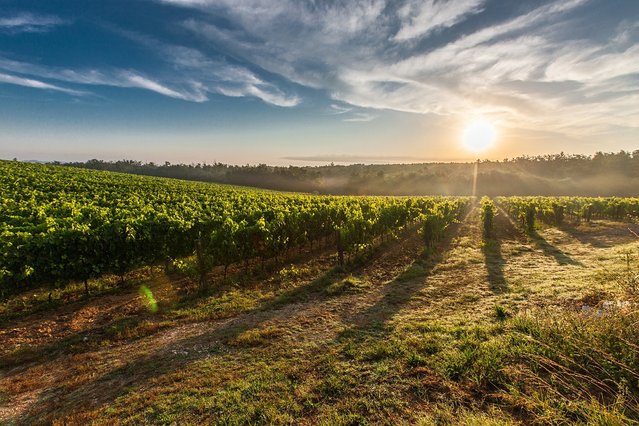 My Road Trip in Tuscany