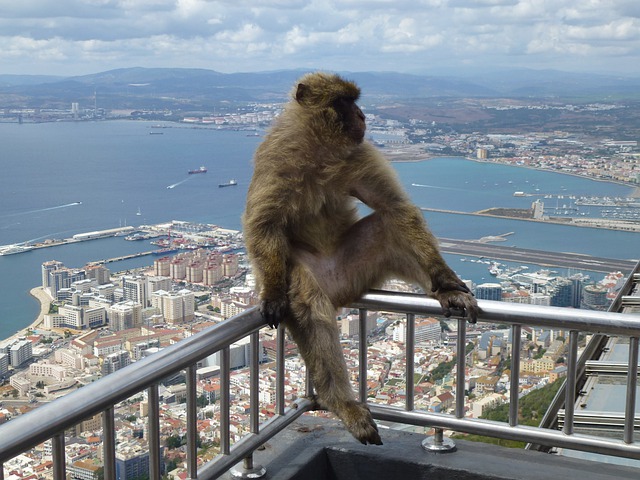 spain road trip gibraltar