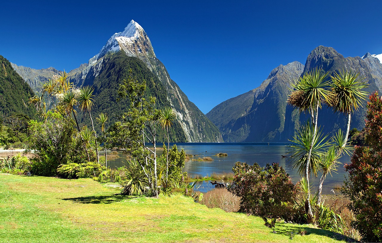 Ultimate New Zealand South Island Road Trip Itinerary – 2023 Edition