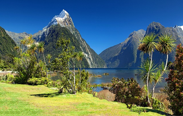 New Zealand South Island Road Trip Itinerary